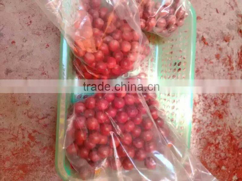 Kang Mingjian beads wooden beads processing the entire machine