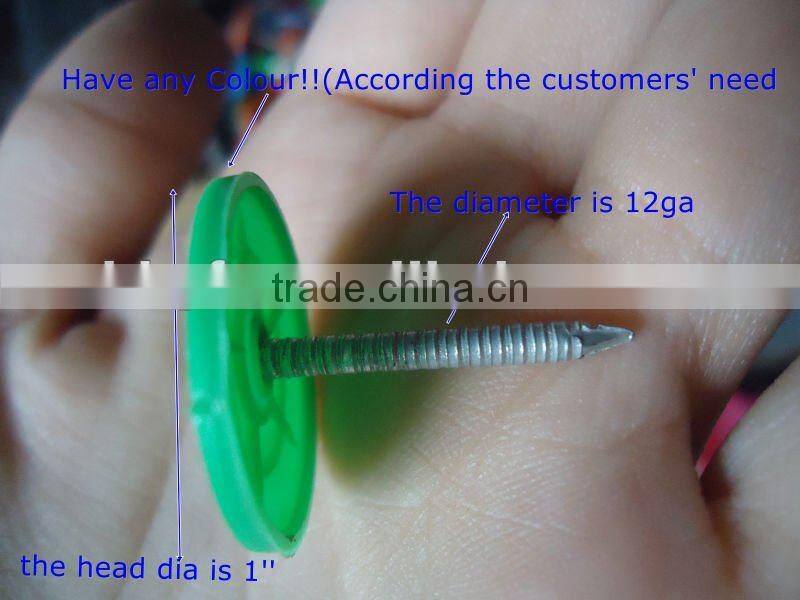 2016 year hot sale!!Plastic cap nails china supplier on sale