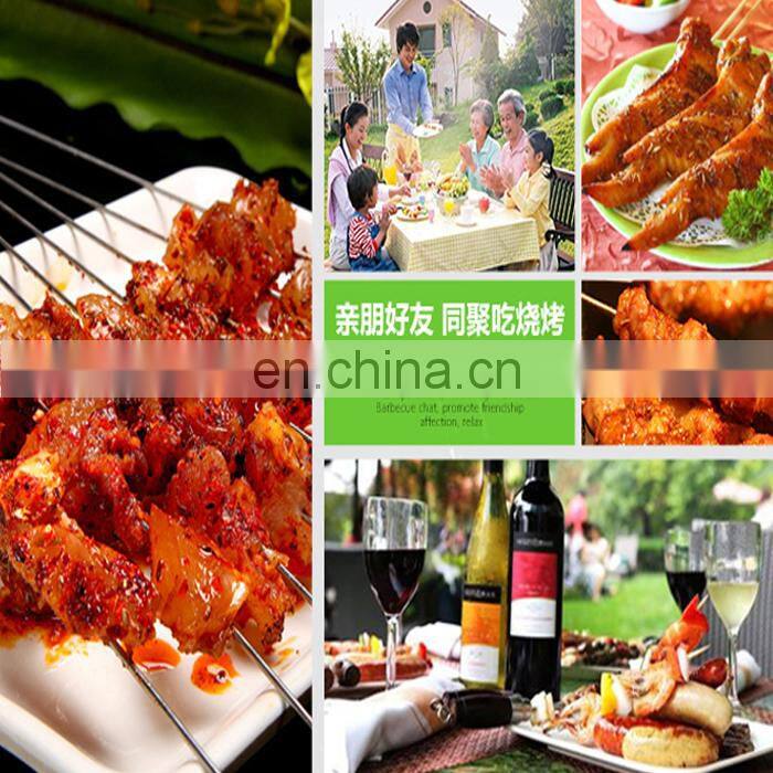 Stainless Steel Camping Barbecue Grill/Barbecue Gas Grill for sell