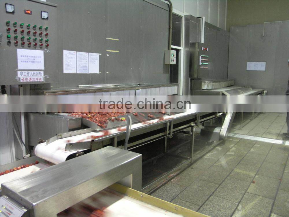 bulk frozen strawberry in package size