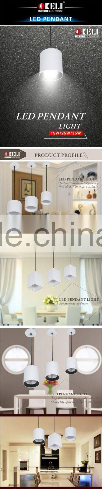 Mordern brief fashion COB LED pendent downlight for hotel