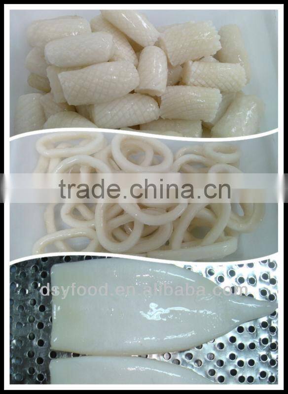 Frozen Squid illex squid and japanese squid