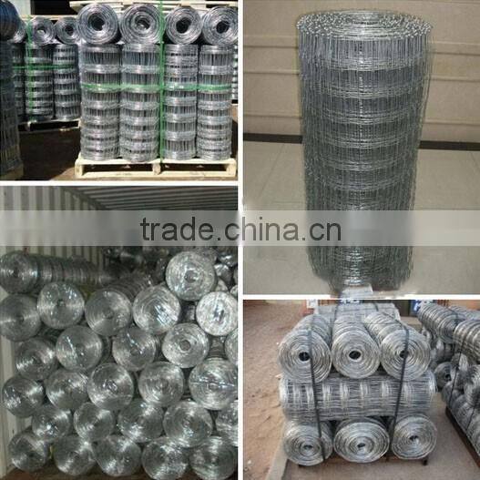 XP Powder Coated High Strengthen Farm Field Fence