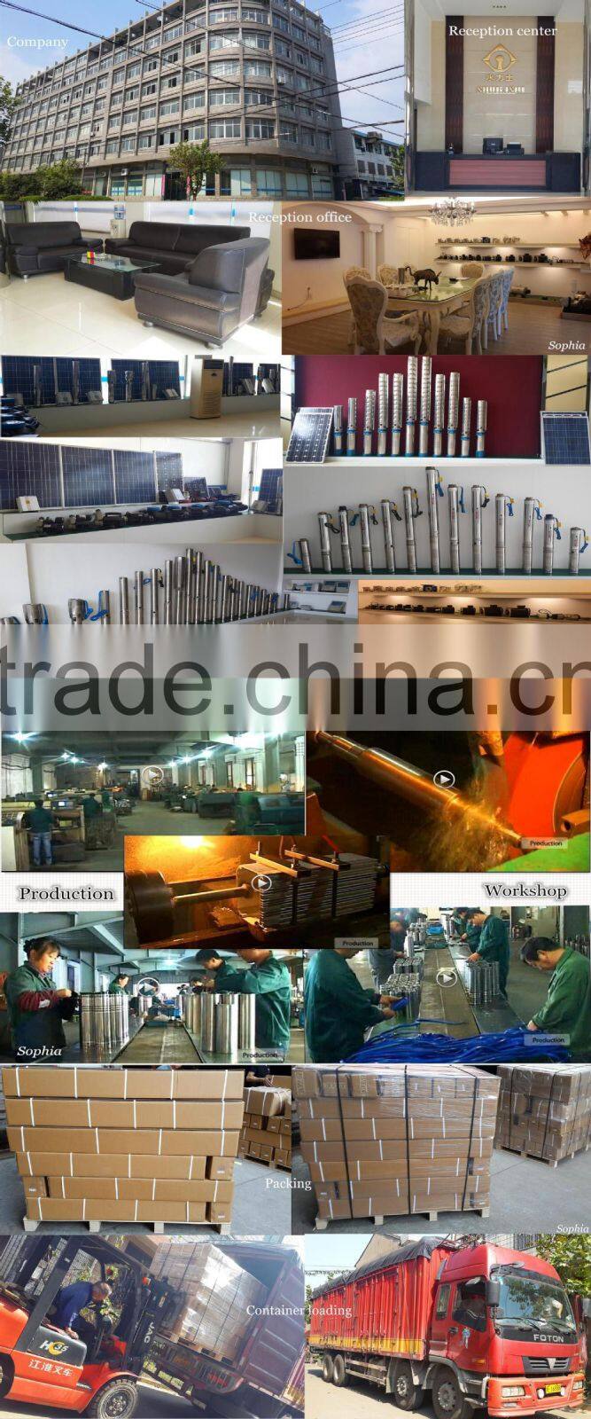 Brushless DC Solar Water Pump for Swimming Pool