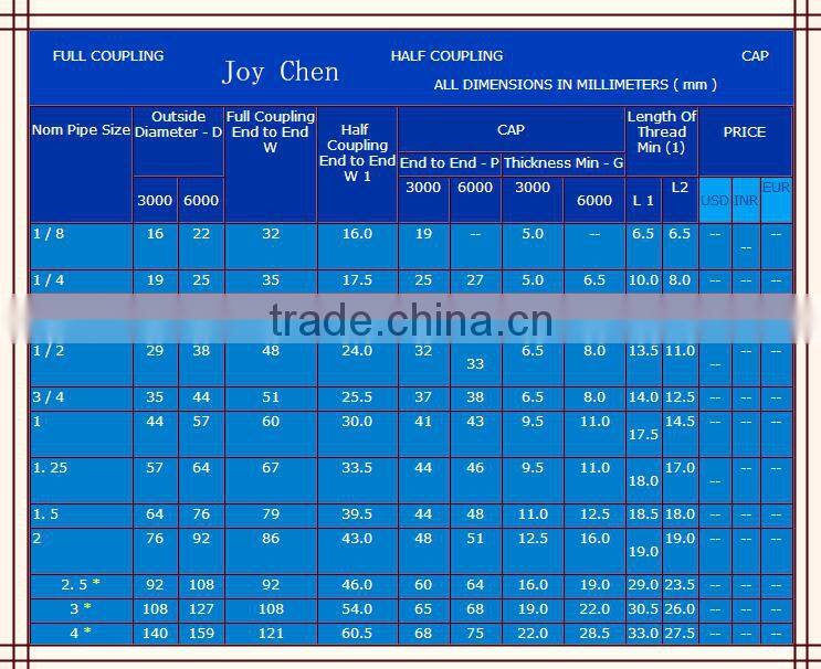 ASTM Stainless Steel Socket Weld Forged Tee And Type Coupling