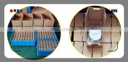 Digital pressure gauge of oil