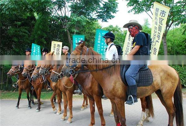 Hot sales outdoor backpack flag stand