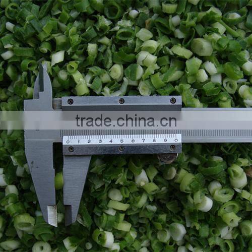 Frozen style fresh Chinese green scallion 2015 new crop