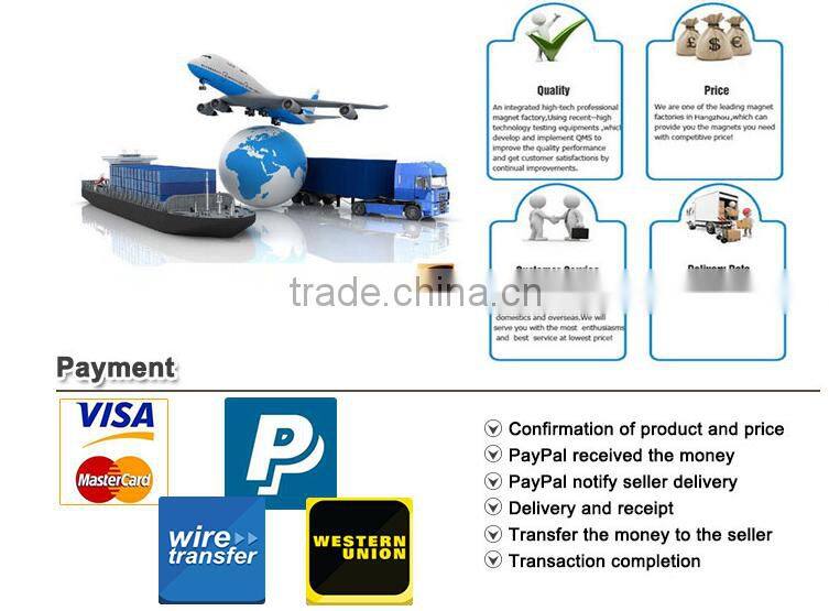 Manufactory Production custom shape neodymium magnet