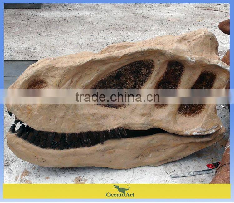museum artificial skeleton dinosaur skull fossil artwork