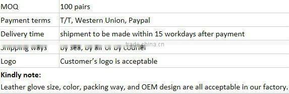 Heart-shaped Design Ladies' Fashion Brand leather glove