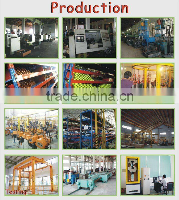 Electric Hoist with CE Certificate