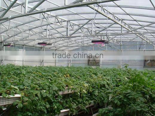 Outdoor Led Flood Light Induction Lamp Grow Light