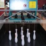 Bowling Pinsetter Automatic