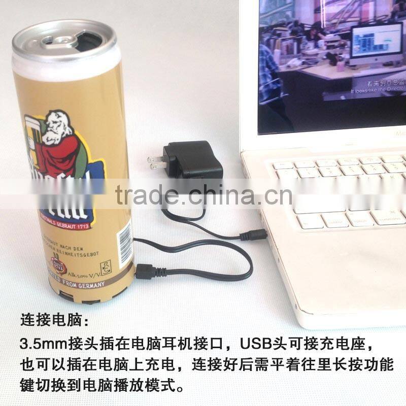 big can speaker with fm radio