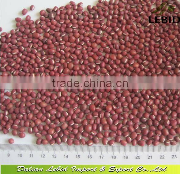 2014 Inner Mongolia best price 5009 Sunflower Seeds 24/64 bulk packing in 25kg pp bag