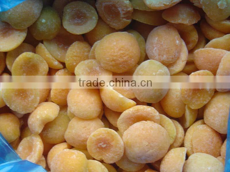 Common Cultivation natural Dried Style apricot seeds