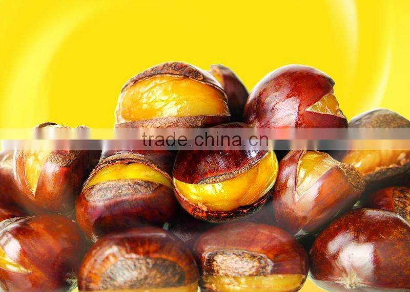 Nut (Chestnut)