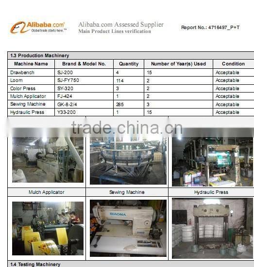 china fashional pp woven shopping bag, shopping tote bag