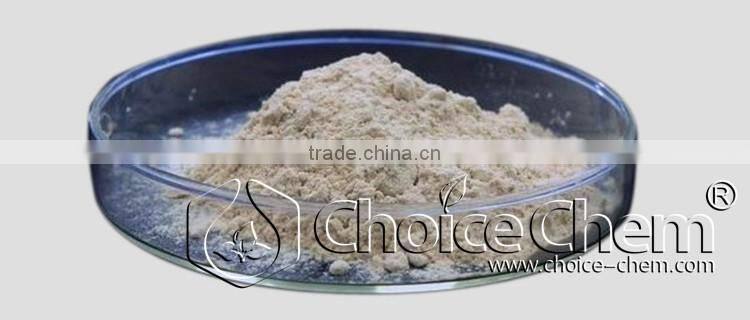 China manufacturer supply L-Tryptophan for best price