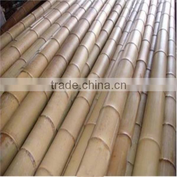 Natural Tonkin Bamboo Cane