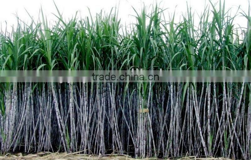 new arrive cane juice cusher ,industrial sugar cane crusher, 2017 new cane press machine