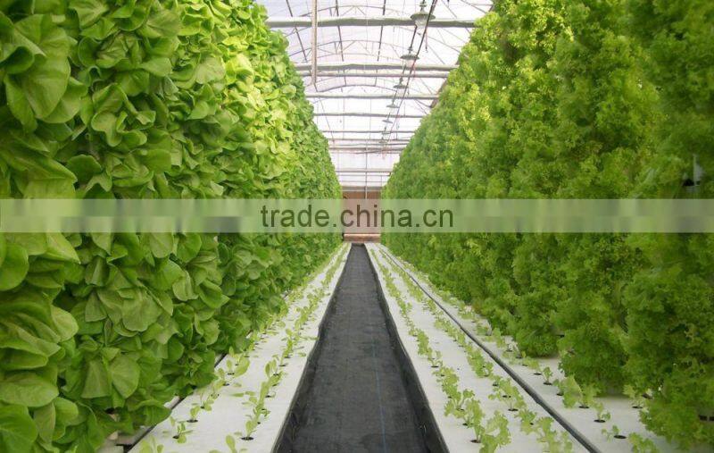 Hot-Dip Galvanized Steel Pipe High Glass Greenhouse For Hydroponic Planting