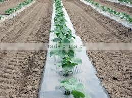 plastic agricultural film with 8cm holes