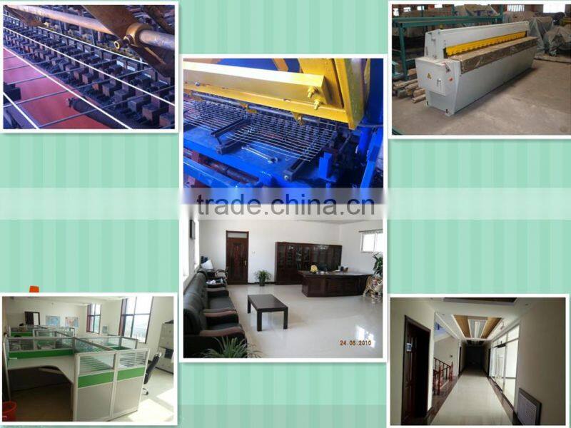 high quality electro galvanized welded wire mesh(ISO9001) from china anping sanxing factory(professional manufacturer)