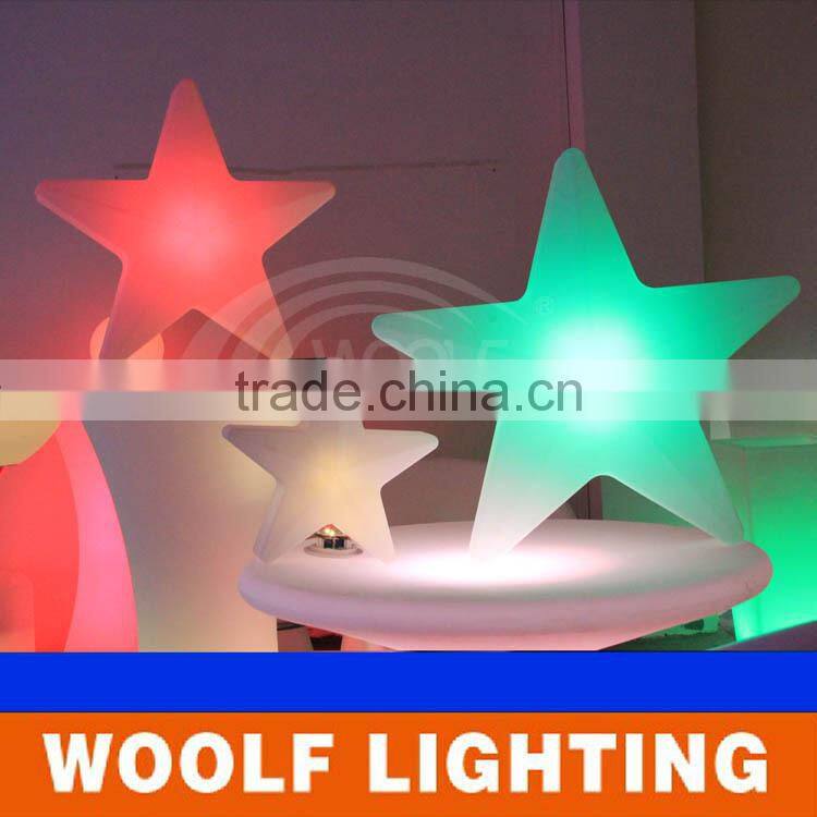 Holiday Used Snow Shape Decorative LED Christmas Light