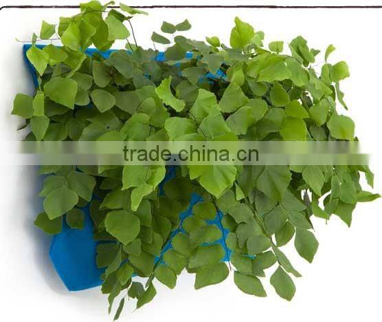 Hanging Plant Pocket