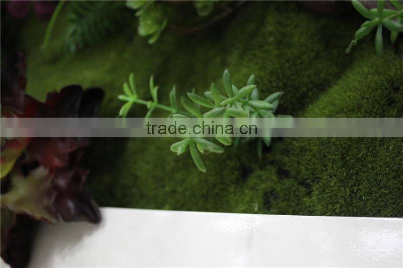 for home garden tiles deco 120*60cm paint color indoor artificial succlent boutique plant wall laminate combinations Ejq10 1204