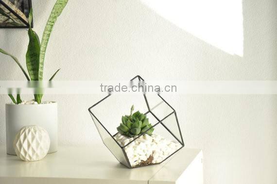 Indoor Gardening Geometric Glass Terrarium Container Succulent Planter