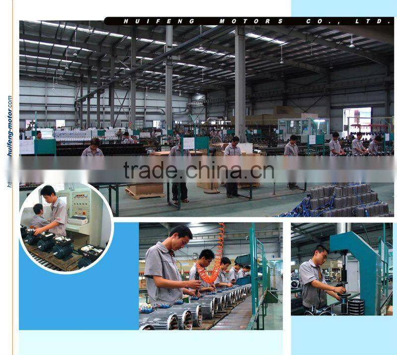 Electric Motor Parts/Pump Parts Winding Stator