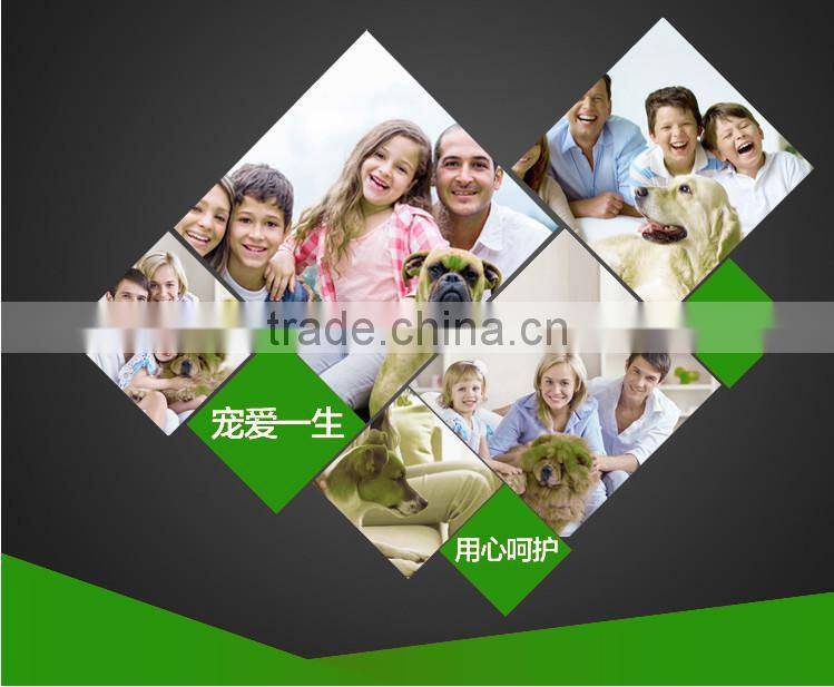 custom make Non-slip disposable plastic PET travel pet bowl for wholesale