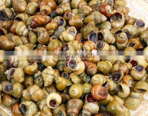 factory direct sale multi-purpose Industrial field snail meat and shell separator