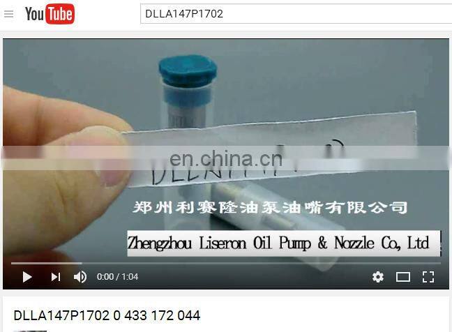 ERIKC DLLA147P1702 racing car injector nozzle DLLA 147 P 1702 gas burner nozzle 0 433 172 044 for 0445110445 0445110446