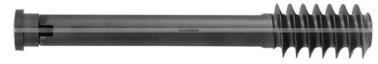 Orthopedic surgical cannulated lag locking screw