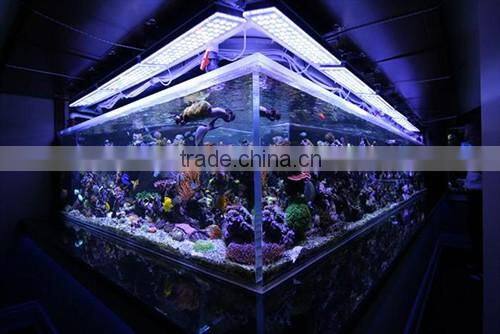 Marine led aquarium light fixture, 120w saltwater coral reef led aquarium light for 24inch 60cm reef tank
