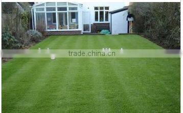 S Blade Leaves Artificial Grass For Sports SS-051007-S