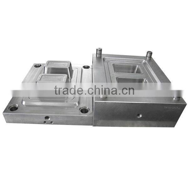 Professional plastic injection thin wall mold