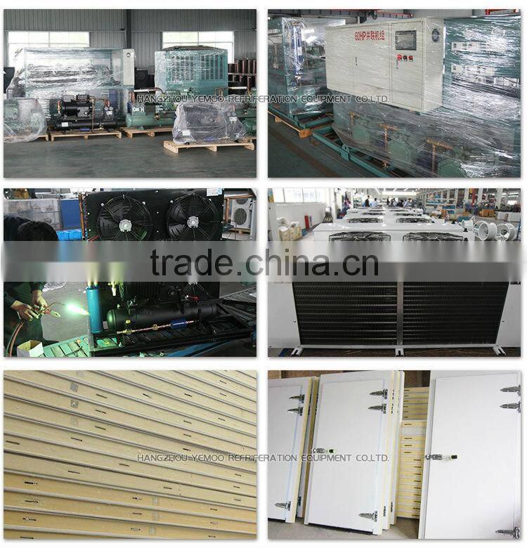 zhejiang hangzhou Yemoo supermarket solar walk in freezer