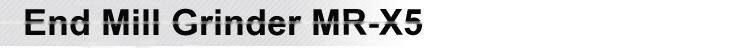Big Size End Mill Grinder (12~30mm)
