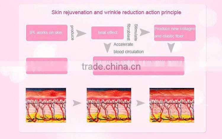 Opt Shr Multi-Functional Beauty Equipment