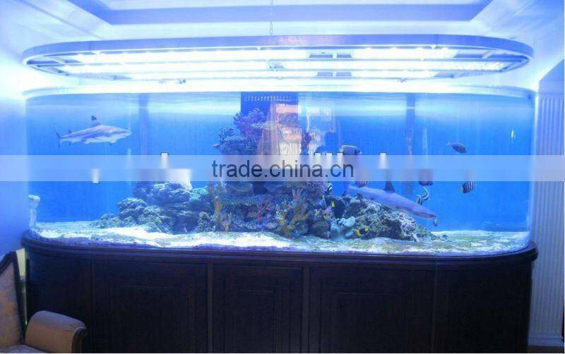 oval acrylic aquarium
