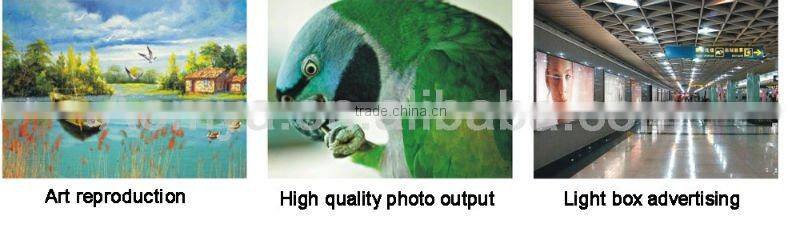 HOT Sales! waterproof 9 vivid color pigment ink for epson 7880 9880