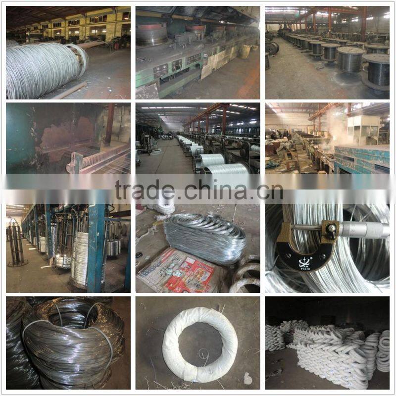 BWG 22 8kg Electro Galvanized Iron Wire