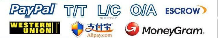 dc mini car wash water pump 6v/12v/24v