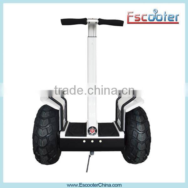 19 Inch Shock-Absorb Hire Pride Mobility Scooter: Rascal and Fast with 20 Km Per Hour