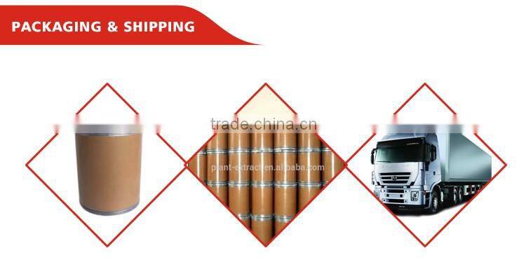 ISO GMP Factory 100% Pure natural mulberry leaf extract